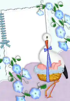 Myndbrella úr flokki Fyrsta árið № 99875
